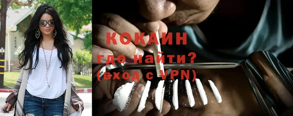 соль ск Алзамай