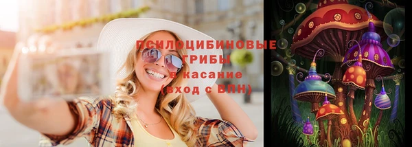 метадон Алексин