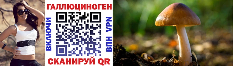 Псилоцибиновые грибы Cubensis  Анадырь 